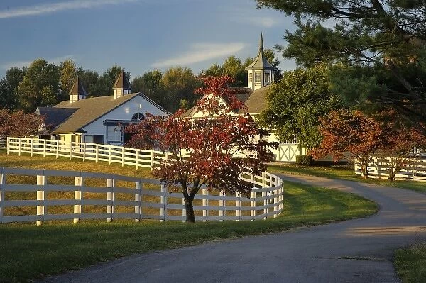 Manchester Horse farm in autumn, Lexington, Kentucky