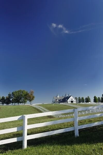 Manchester horse farm, Lexington, Kentucky