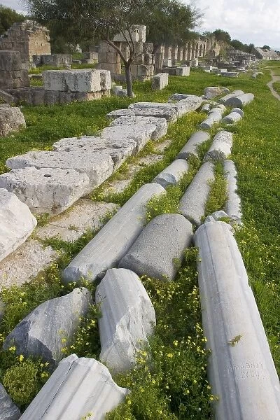 Marble columns lying on the ground in the hippodrome, Tyre, Lebanon