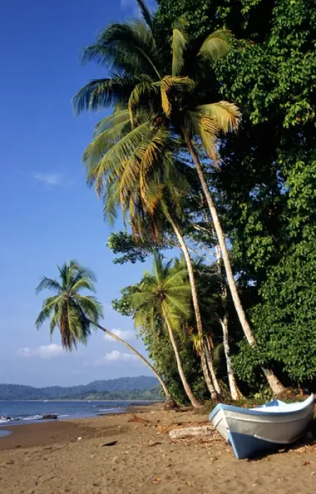 Framed Print : Marenco, Osa Peninsula, Costa Rica. Unspoilt palm fringed beach with freshly painted blue Framed Print : Marenco, Osa Peninsula, Costa Rica. Unspoilt palm fringed beach with freshly painted blue