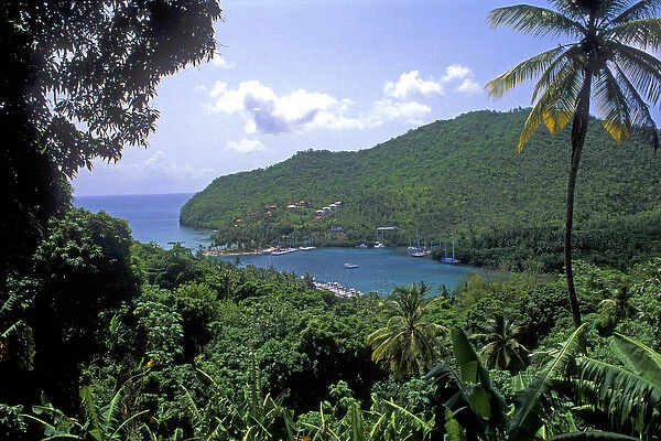 Marigot Bay in St Lucia