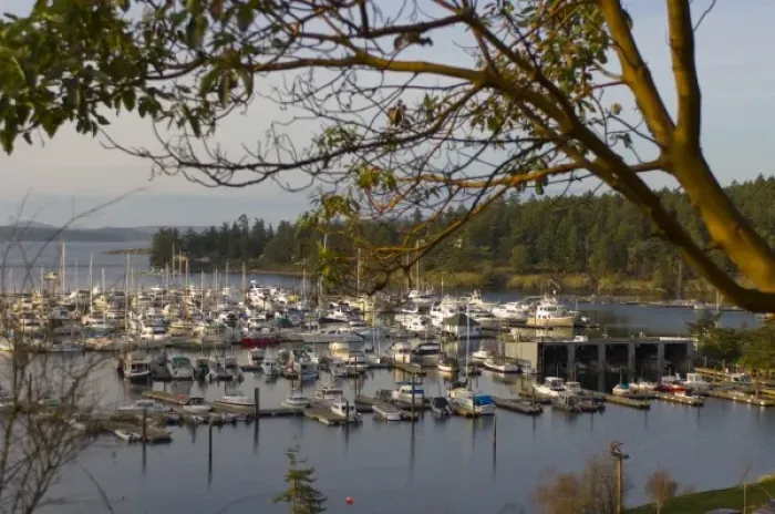 Framed Print : Marina at Roche Harbor, San Juan Island, Washington State