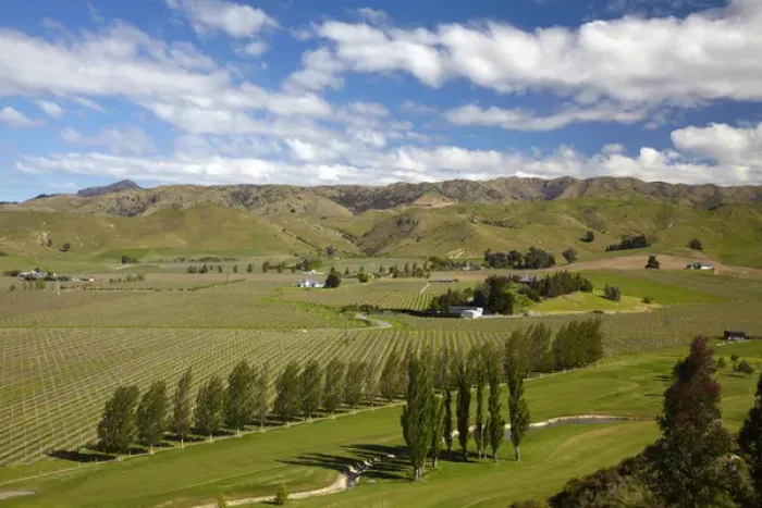 Framed Print : Marlborough Golf Club, vineyard, and farmland near Blenheim, Marlborough, South Island Framed Print : Marlborough Golf Club, vineyard, and farmland near Blenheim, Marlborough, South Island