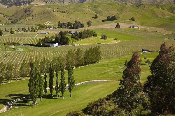 Marlborough Golf Club, vineyard, and farmland near Blenheim, Marlborough, South Island