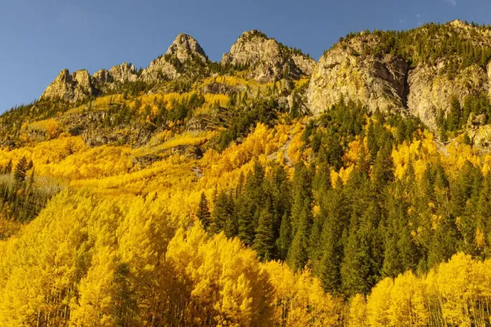 Framed Print : Maroon Bells-Snowmass Wilderness in Aspen, Colorado in autumn