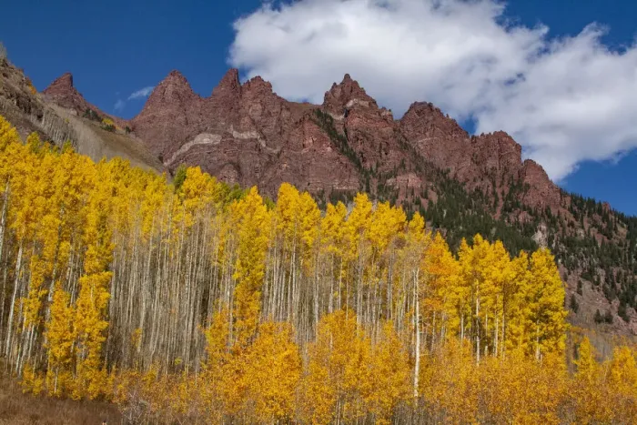 Framed Print : Maroon Bells-Snowmass Wilderness of Colorado, red rock cliffs Framed Print : Maroon Bells-Snowmass Wilderness of Colorado, red rock cliffs