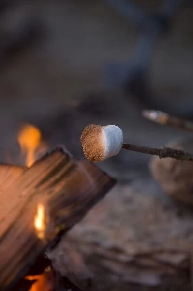 Marshmallow roasting in campfire near Whitefish Montana