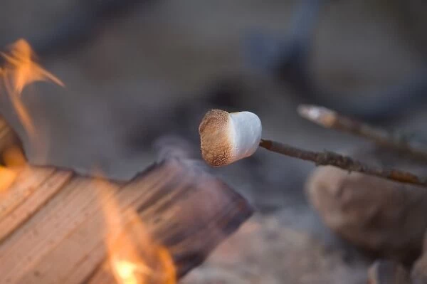 Marshmallow roasting on a stick in campfire near Whitefish Montana