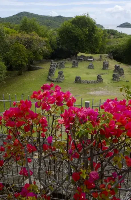 Framed Print : MARTINIQUE. French Antilles. West Indies. Flowering bougainvillea & ruins at site Framed Print : MARTINIQUE. French Antilles. West Indies. Flowering bougainvillea & ruins at site