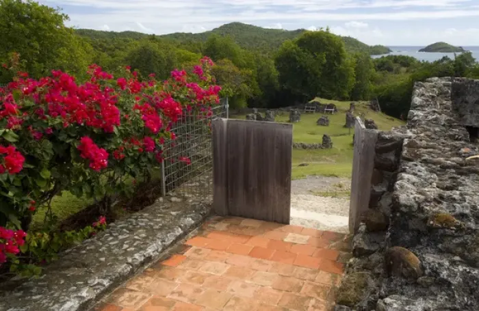 Framed Print : MARTINIQUE. French Antilles. West Indies. Flowering bougainvillea & ruins at site Framed Print : MARTINIQUE. French Antilles. West Indies. Flowering bougainvillea & ruins at site