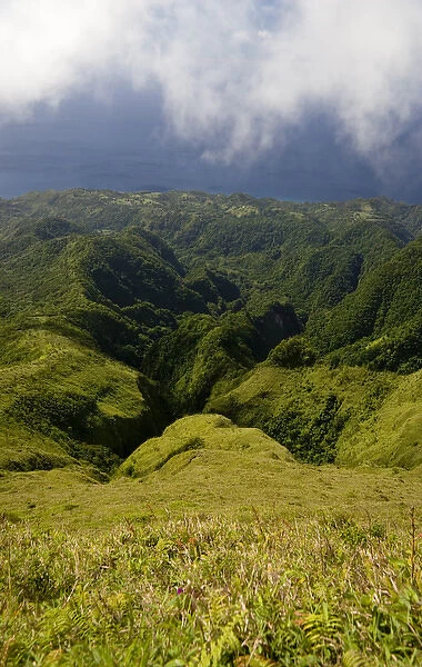 MARTINIQUE. French Antilles. West Indies. Rugged gorges carved into flanks of Mt. Pelee