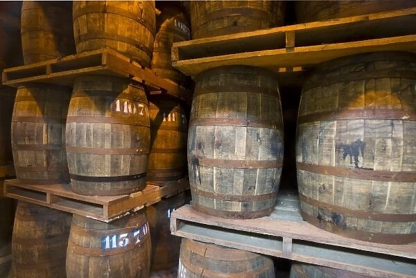 MARTINIQUE. French Antilles. West Indies. St. Pierre. Oak aging barrels full of rum