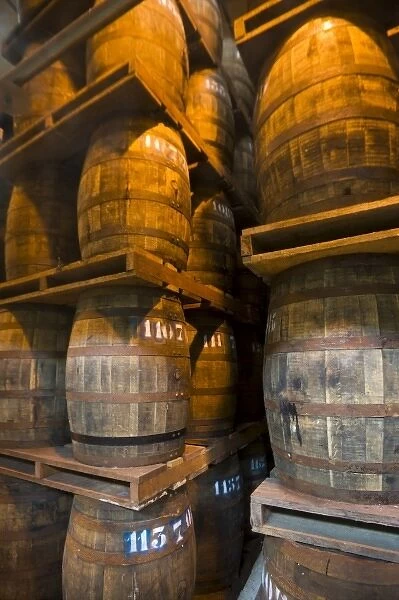 MARTINIQUE. French Antilles. West Indies. St. Pierre. Oak aging barrels full of rum