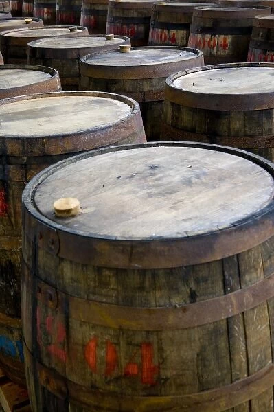 MARTINIQUE. French Antilles. West Indies. St. Pierre. Oak aging barrels ready to be filled with rum