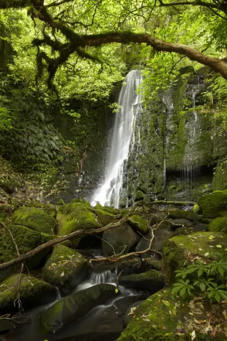 Framed Print : Matai Falls, Catlins, South Otago, South Island, New Zealand