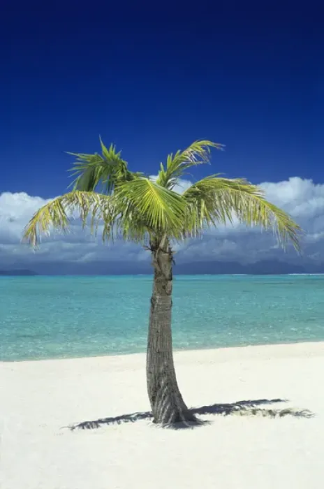 Framed Print : Matira Beach on the island of Bora Bora, Society Islands, French Polynesia, South Pacific Framed Print : Matira Beach on the island of Bora Bora, Society Islands, French Polynesia, South Pacific