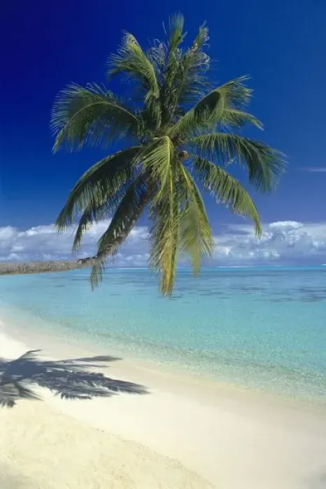 Framed Print : Matira Beach on the island of Bora Bora, Society Islands, French Polynesia, South Pacific Ocean Framed Print : Matira Beach on the island of Bora Bora, Society Islands, French Polynesia, South Pacific Ocean