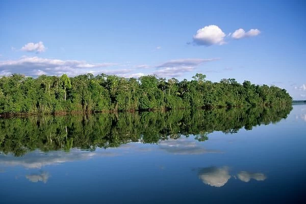 Mato Grosso State, Amazon, Brazil. Forested river bank with perfect reflection of