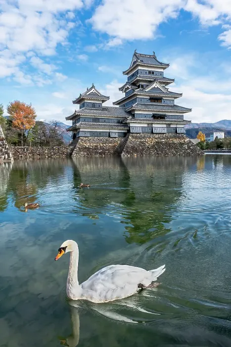 Framed Print : Matsumoto Castle, Matsumoto, Japan Framed Print : Matsumoto Castle, Matsumoto, Japan
