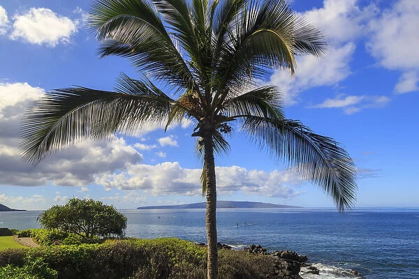 Maui, Hawaii, USA