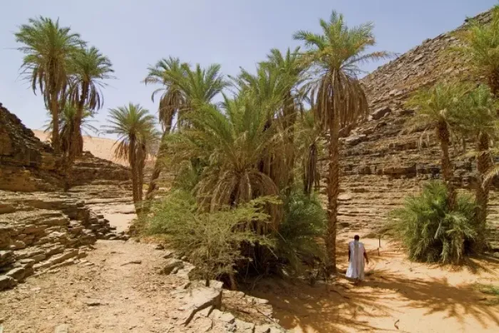 Framed Print : Mauritania, Adrar, Terjit oasis, Landscape