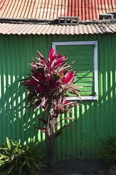 Mauritius, Eastern Mauritius, Trou d Eau Douce, beach shack