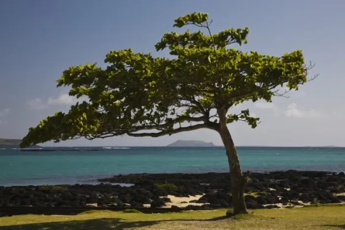 Framed Print : Mauritius, North Mauritius, Cap Maleureux, Anse La Raie Bay