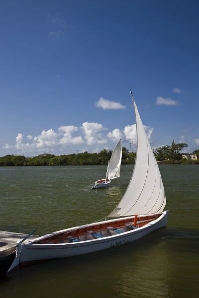 Mauritius, Southern Mauritius, Blue Bay, traditional pirogue boats