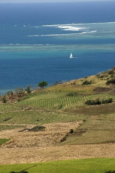 Mauritius. Sugar cane fields and ocean vistas are typical Mauritius scenes
