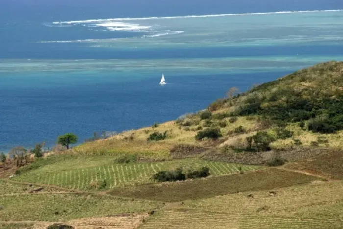 Framed Print : Mauritius. Sugar cane fields and ocean vistas are typical Mauritius scenes Framed Print : Mauritius. Sugar cane fields and ocean vistas are typical Mauritius scenes