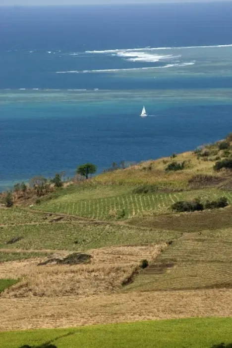 Framed Print : Mauritius. Sugar cane fields and ocean vistas are typical Mauritius scenes Framed Print : Mauritius. Sugar cane fields and ocean vistas are typical Mauritius scenes