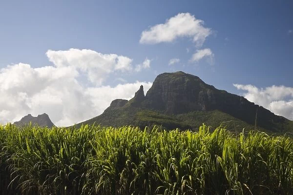Mauritius, Western Mauritius, Beau Songes, Montagne du Rempart and sugar cane field