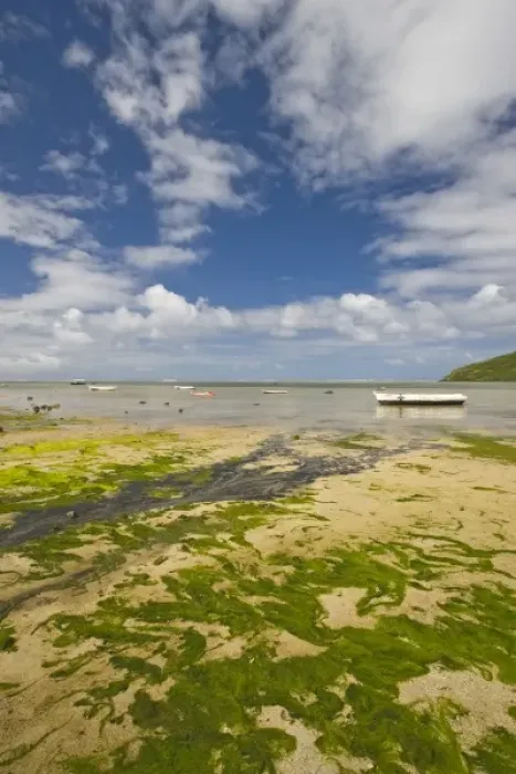 Framed Print : Mauritius, Western Mauritius, Le Morne, fishing village by Le Morne Brabant peninsula