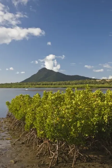 Framed Print : Mauritius, Western Mauritius, Petite Riviere Noir Bay