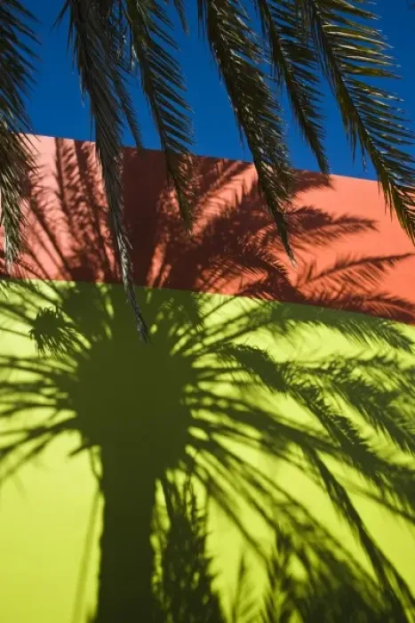 Framed Print : Mauritius, Western Mauritius, Tamarin, Palm Shadows, Tamarin Hotel
