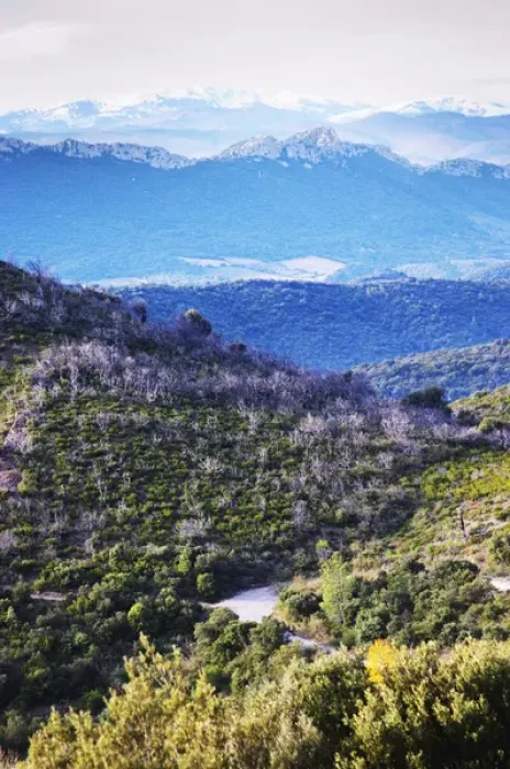Framed Print : Maury. Roussillon. Spectacular view over the mountains. France. Europe. Mountains
