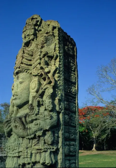 Framed Print : Maya; Honduras; Copan, Stele Framed Print : Maya; Honduras; Copan, Stele
