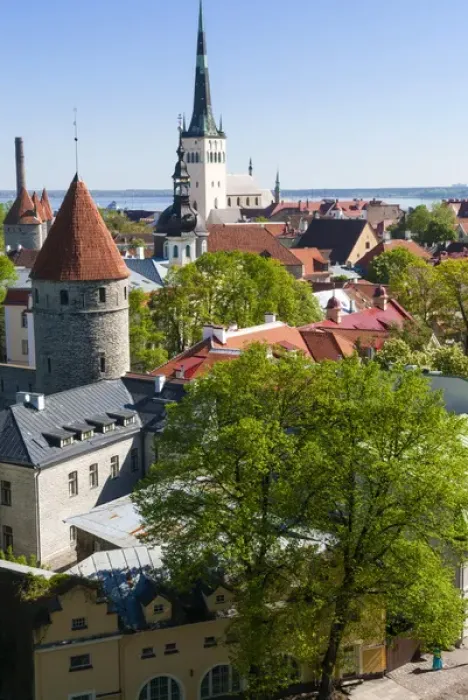Framed Print : Medieval town walls and spire of St. Olavs church, view of Tallinn from Toompea hill