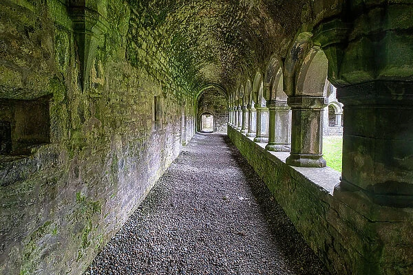 Meditative passageway is part of Moyne Abbey, one of the largest and most intact abbeys in Ireland