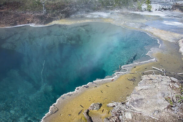 Melanesia, Papua New Guinea, Fergusson Island, Del Del Hot Springs. Volcanic hot springs