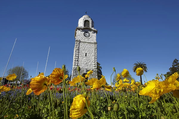 Memorial Clock Tower, Seymour Square, Blenheim, Marlborough, South Island, New Zealand