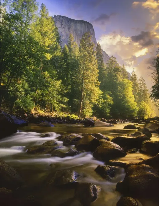 Framed Print : Merced River flows through Yosemite National Park in California Framed Print : Merced River flows through Yosemite National Park in California