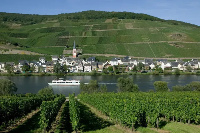 Framed Print : Merl bei Zell, vineyards, Mosel Valley, Rhineland Palatinate, Germany