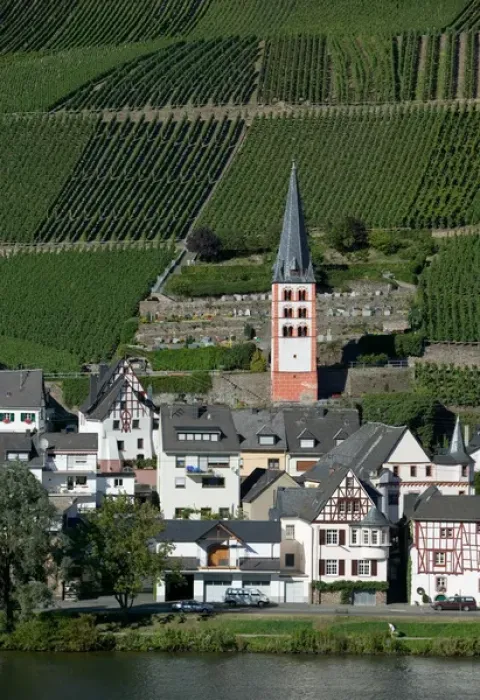 Framed Print : Merl bei Zell, vineyards, Mosel Valley, Rhineland Palatinate, Germany Framed Print : Merl bei Zell, vineyards, Mosel Valley, Rhineland Palatinate, Germany