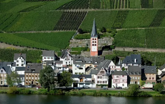 Framed Print : Merl bei Zell, vineyards, Mosel Valley, Rhineland Palatinate, Germany