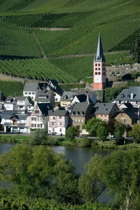 Framed Print : Merl bei Zell, vineyards, Mosel Valley, Rhineland Palatinate, Germany