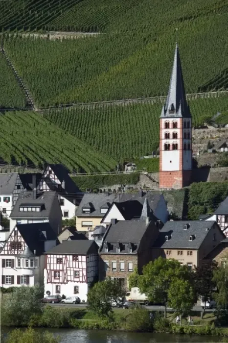 Framed Print : Merl bei Zell, vineyards, Mosel Valley, Rhineland Palatinate, Germany