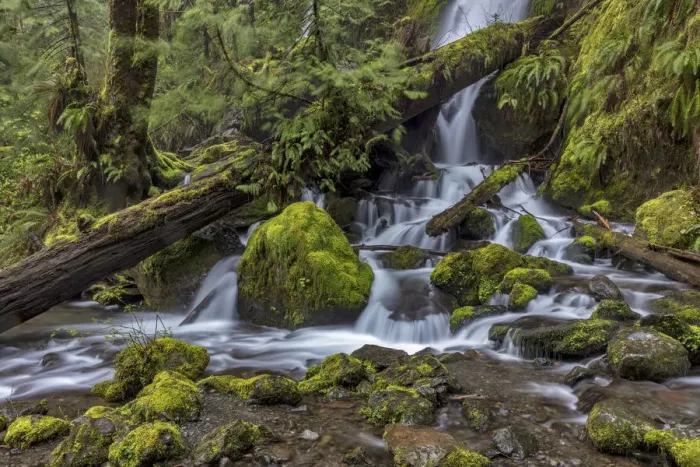 Framed Print : Merriman Falls in the Olympic National Forest, Washington State, USA
