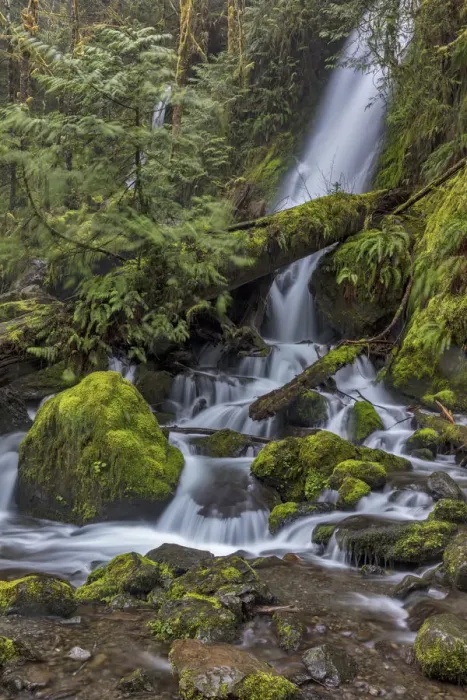Framed Print : Merriman Falls in the Olympic National Forest, Washington State, USA