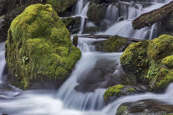 Merriman Falls in the Olympic National Forest, Washington State, USA